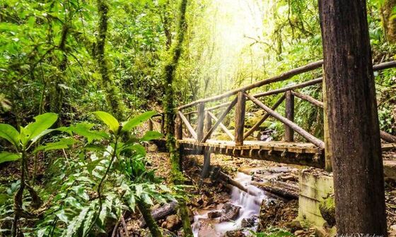 Parque Nacional La Tigra